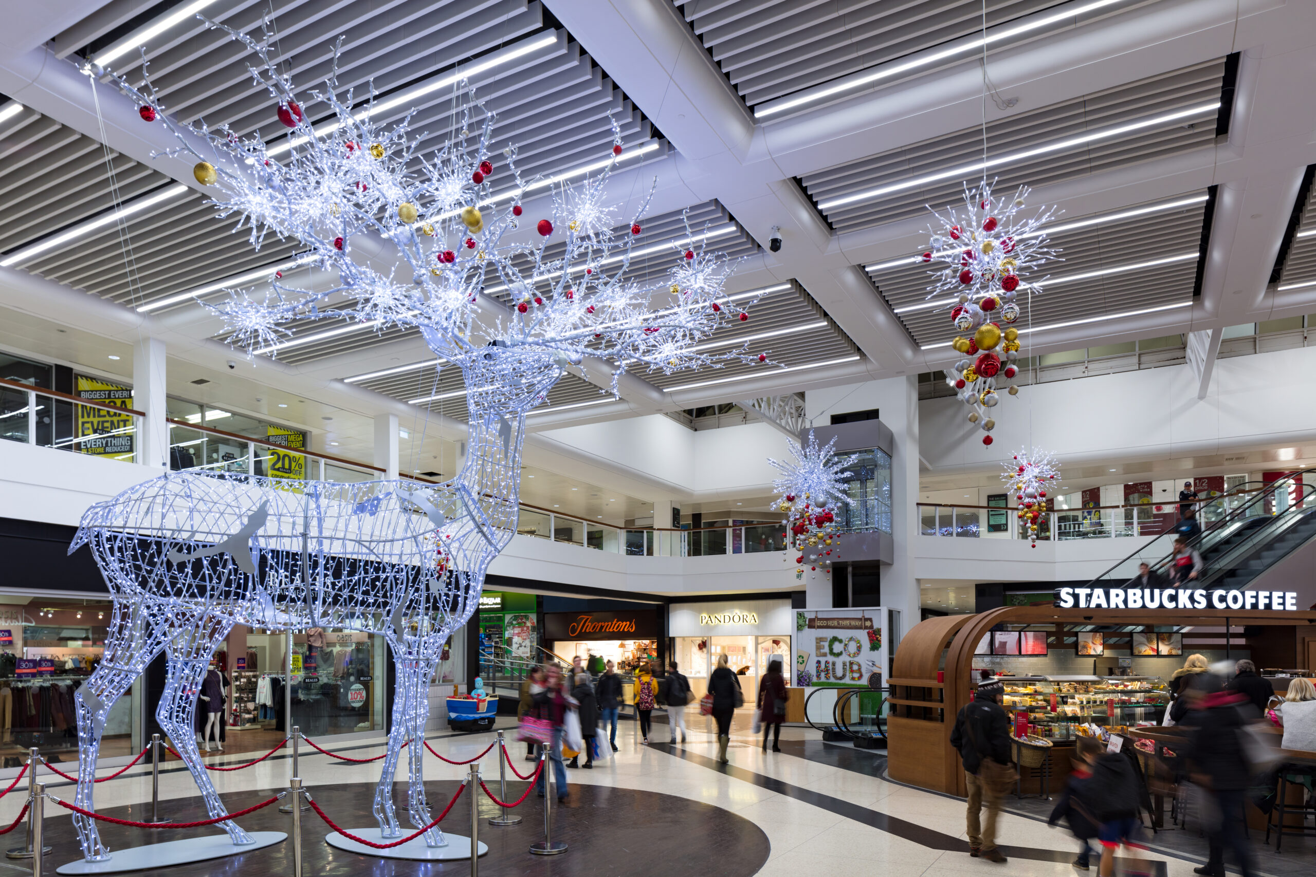 dolphin shopping centre christmas stag light sculpture and hanging christmas light motifs