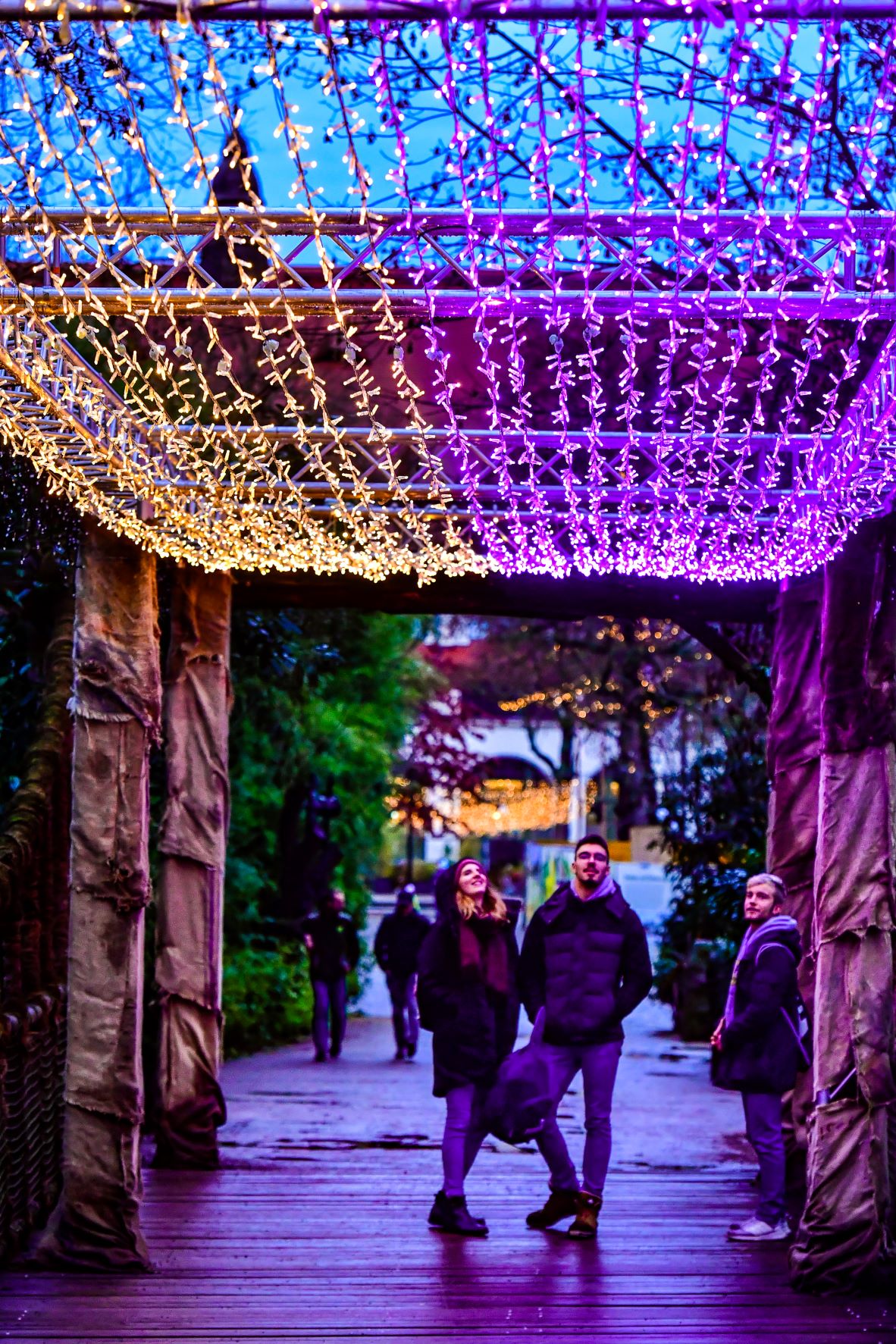 ceiling of multi coloured LED string lights