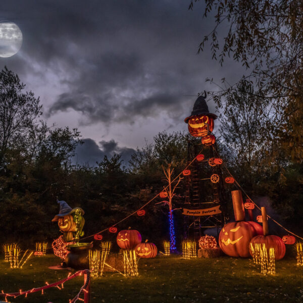 halloween scary display of props and pumpkins commercial use