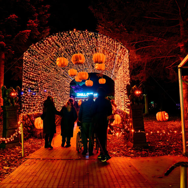 halloween ceiling of light walk way