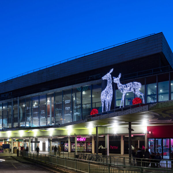 outside christmas decorations and deer light sculptures at the dolphin centre