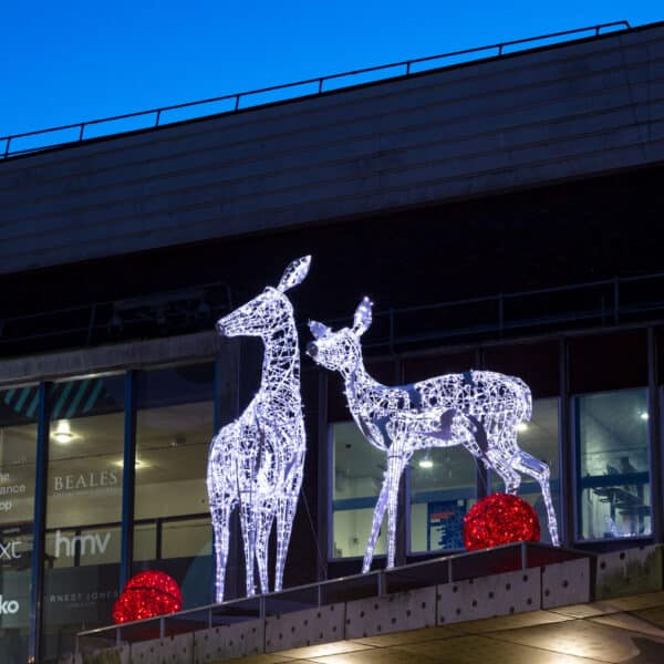 outside christmas decorations and deer light sculptures at the dolphin centre