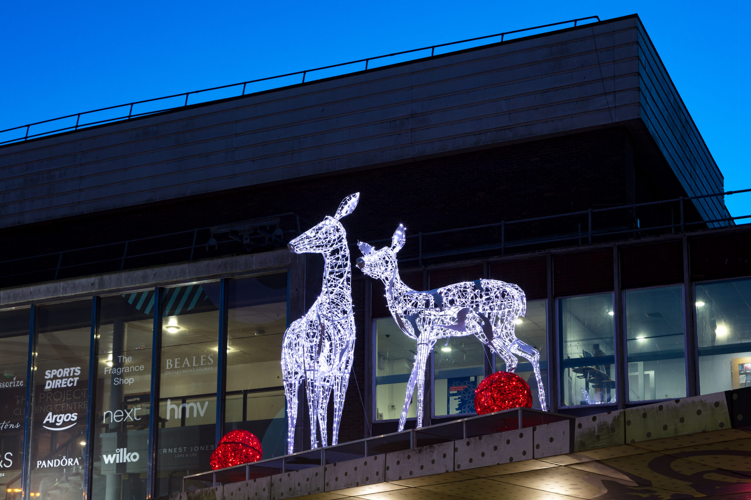outside christmas decorations and deer light sculptures at the dolphin centre