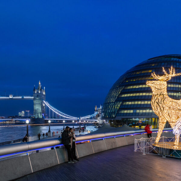 London Bridge Stag fox and robin christmas light sculpture