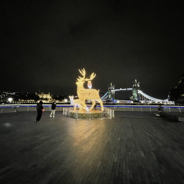 London Bridge Stag fox and robin christmas light sculpture