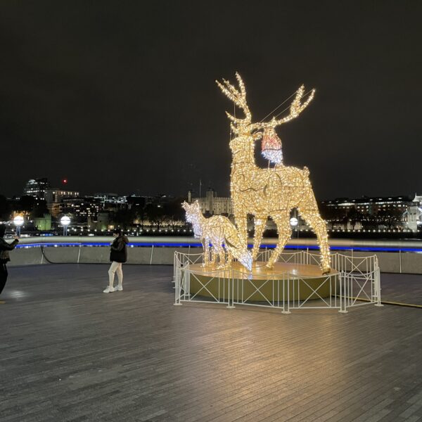 London Bridge Stag fox and robin christmas light sculpture