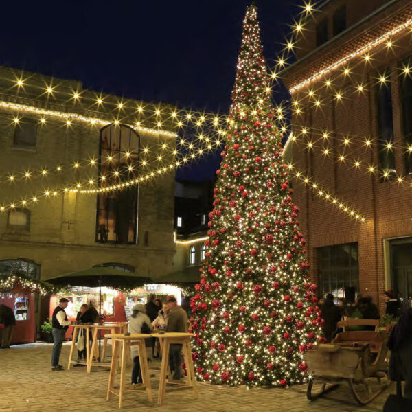 outdoor commercial christmas tree and festoon lighting