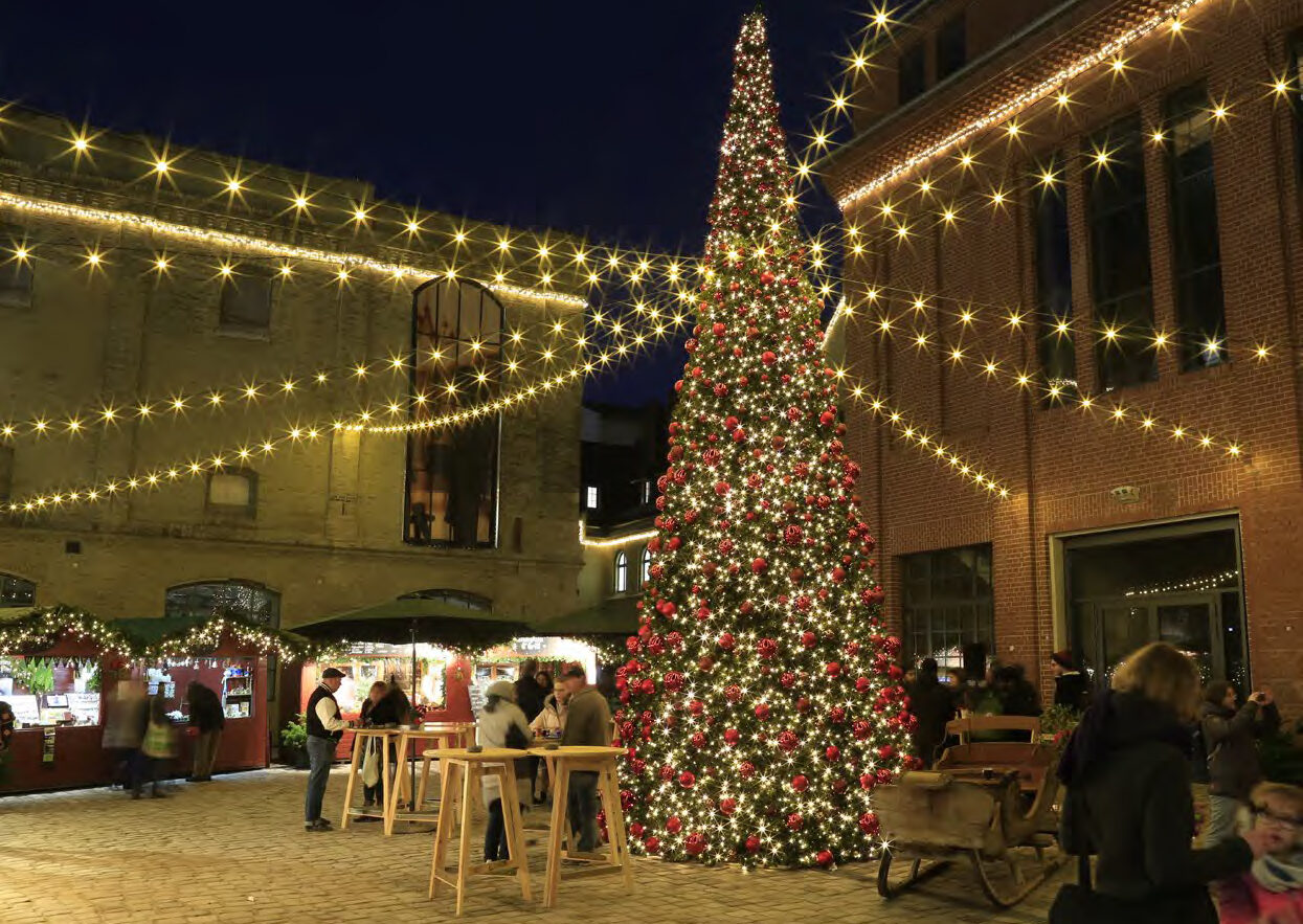 outdoor commercial christmas tree and festoon lighting