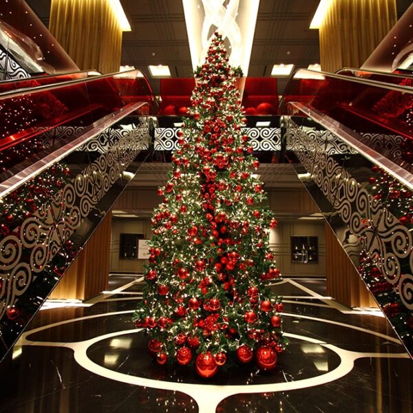 Commercial Christmas Trees