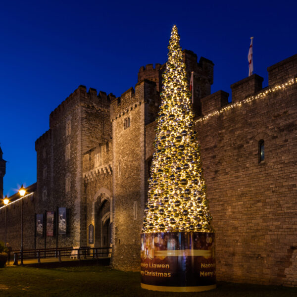 outdoor commercial christmas trees