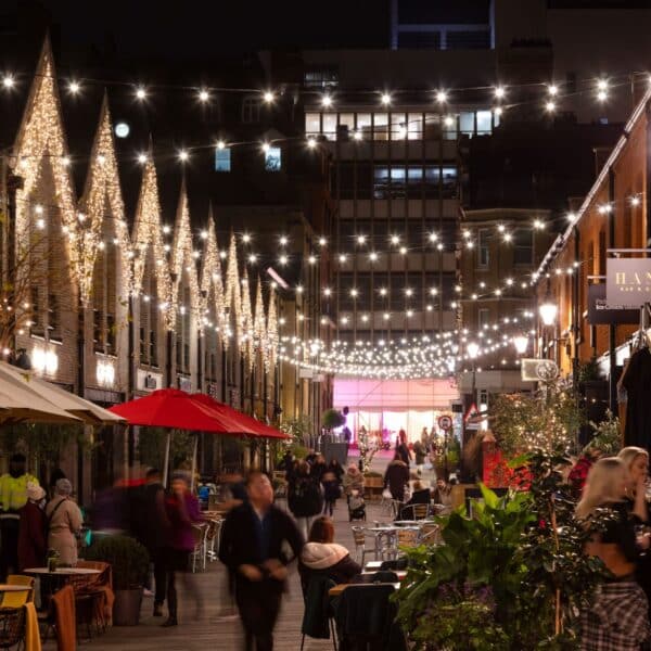outdoor commercial festoon, drape and string lights