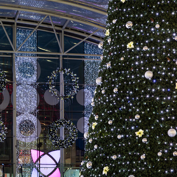 Commercial Christmas trees and wreaths