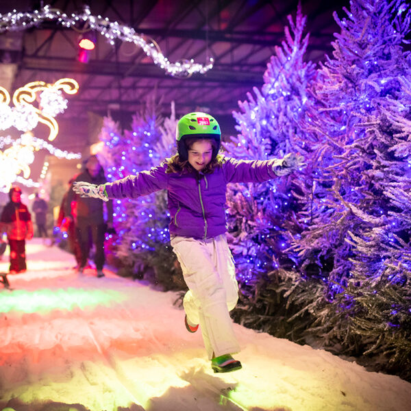 Winter Wonderland lights and motifs