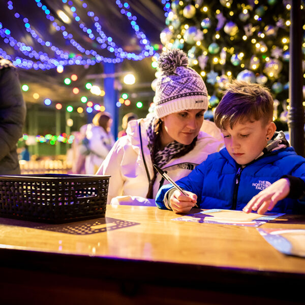 Winter Wonderland Christmas Lighting and Tree
