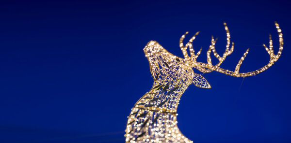 Christmas stag light sculpture