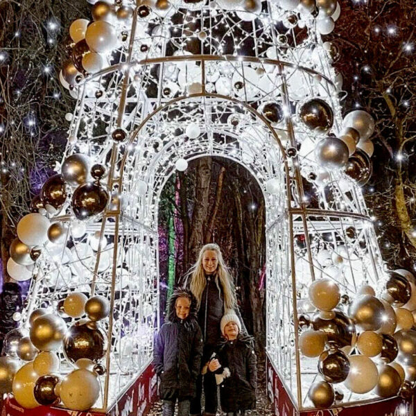 Commercial Christmas Tree