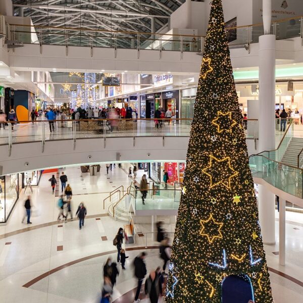 commercial christmas trees