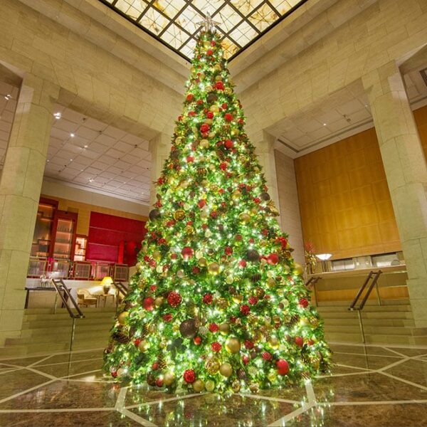 commercial christmas trees