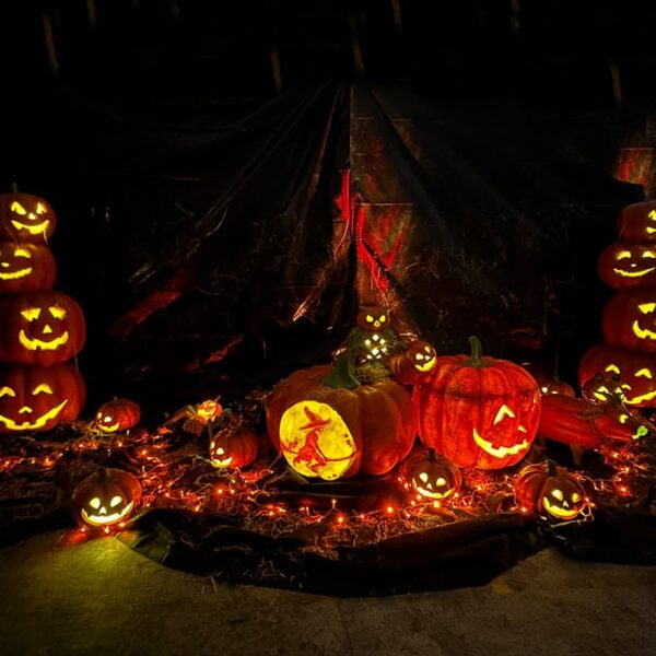 Halloween props and statues