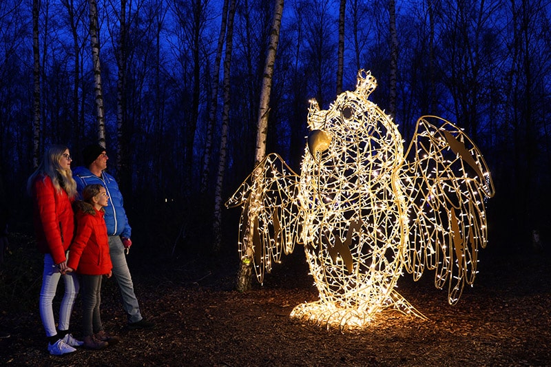 owl light sculpture