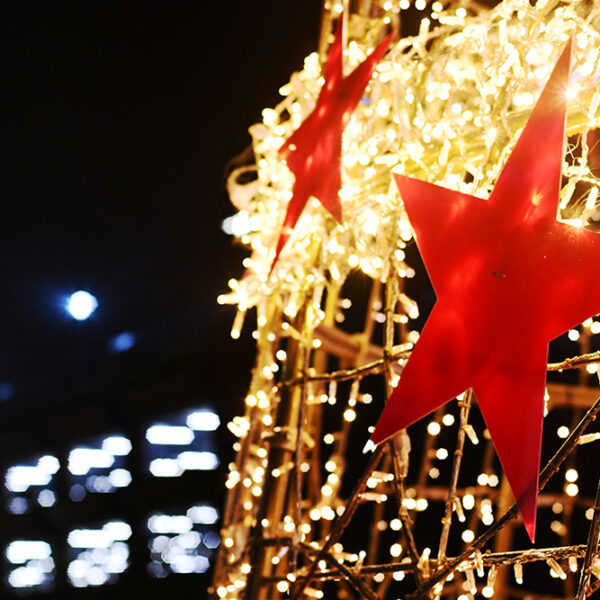 The Rock Christmas Lights by MK Illumination