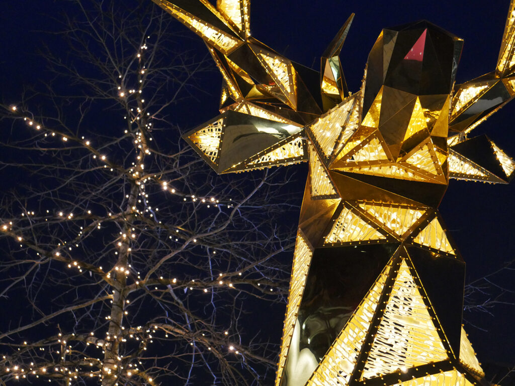 Cheshire Oaks Christmas Lights by MK Illumination