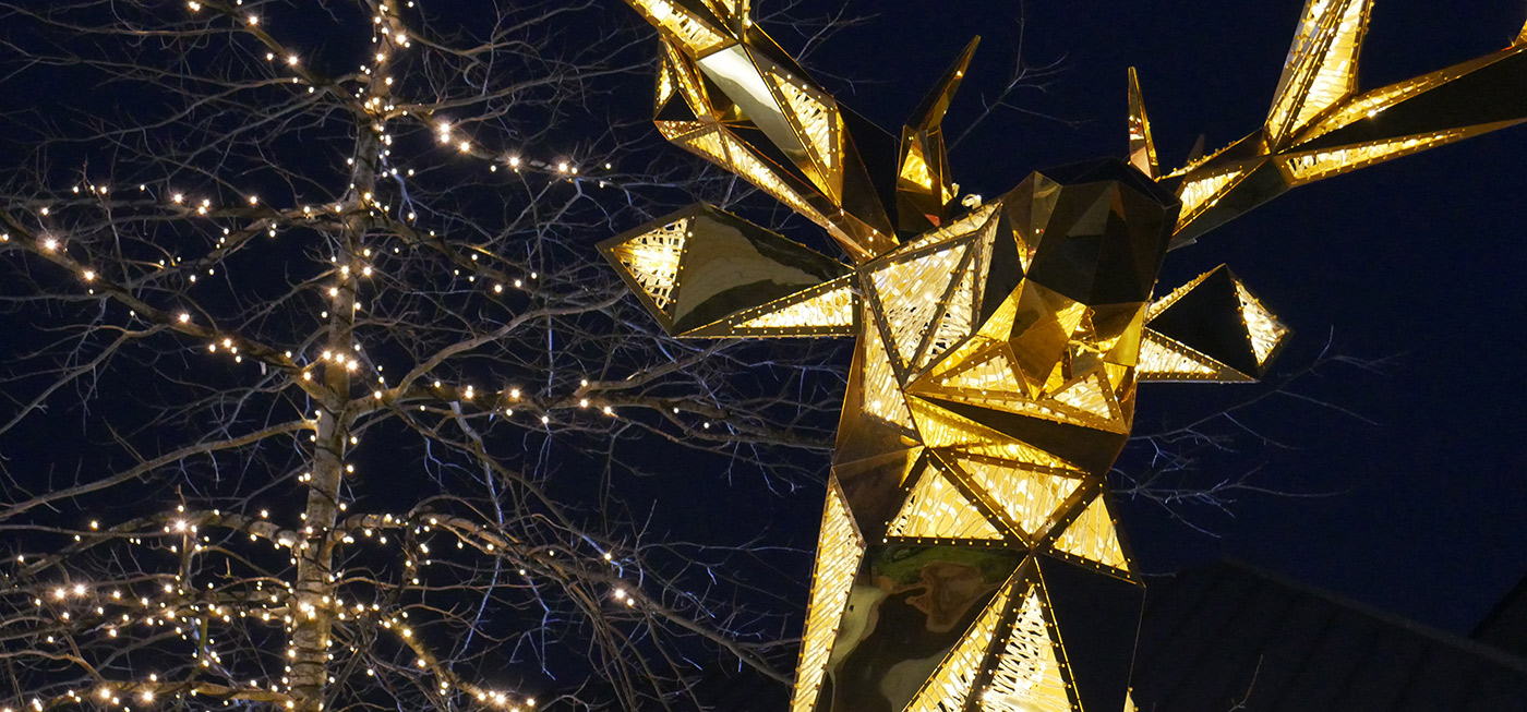 Commercial Christmas Lighting and Displays Specialists