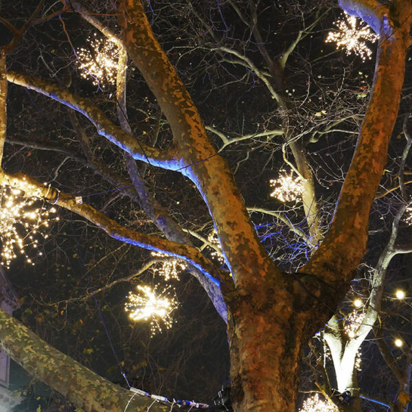 light motifs in trees london