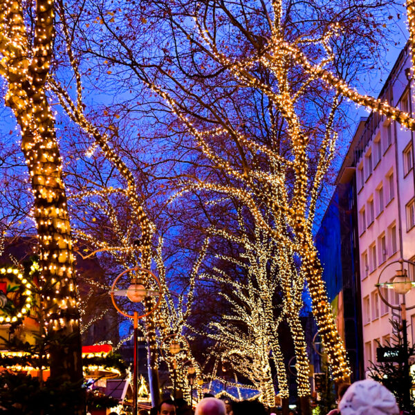 string light on trees