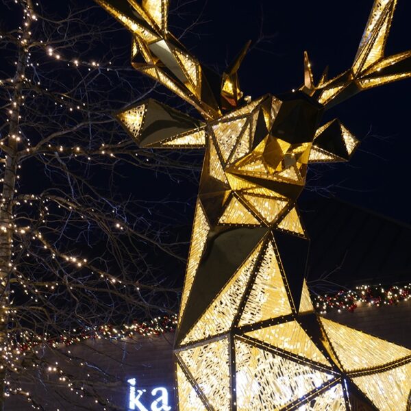 Christmas Light Sculpture at Cheshire Oaks