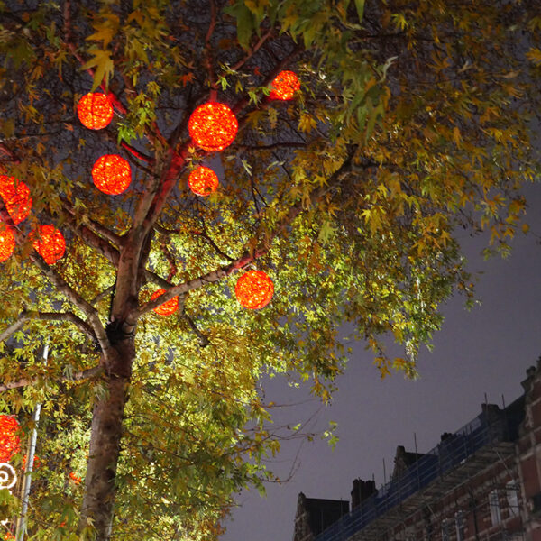 High Street Kensington Christmas Lights