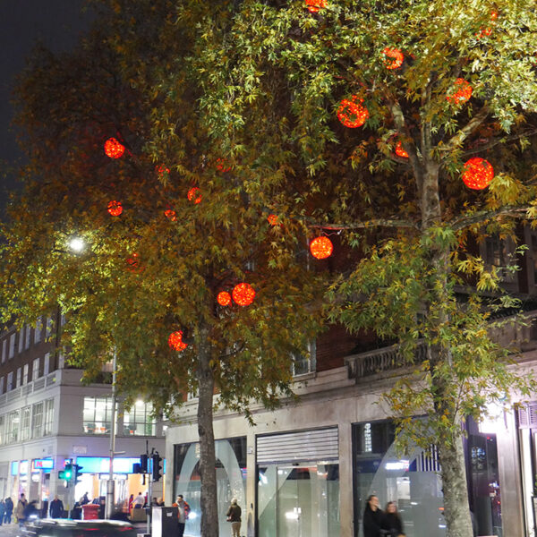 High Street Kensington Christmas Lights