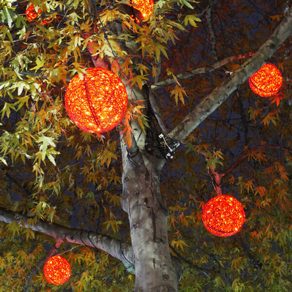 High Street Kensington Christmas Lights