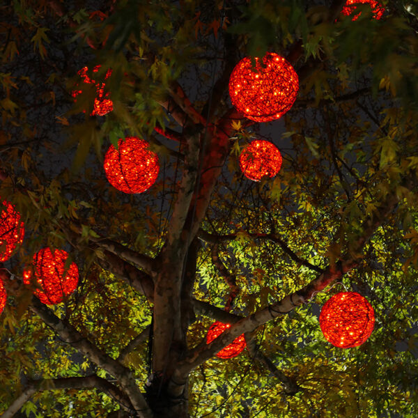 High Street Kensington Christmas Lights
