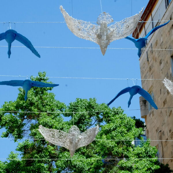 birds summer lighting and decoration