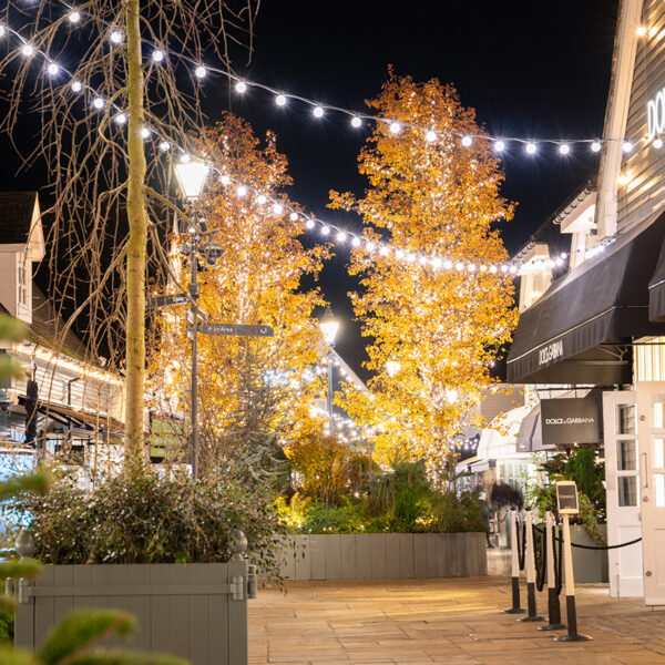 Commercial Festoon Lighting by MK Illumination