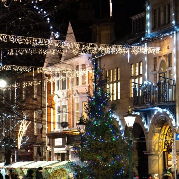 Commercial Christmas String Lights