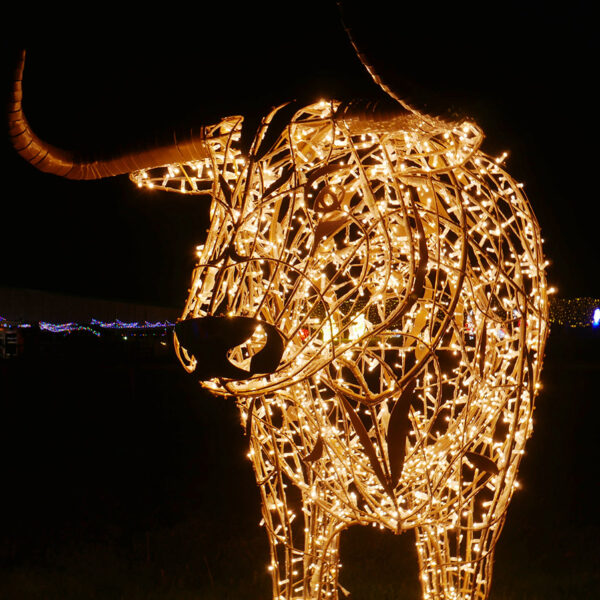 Bull Light Sculpture