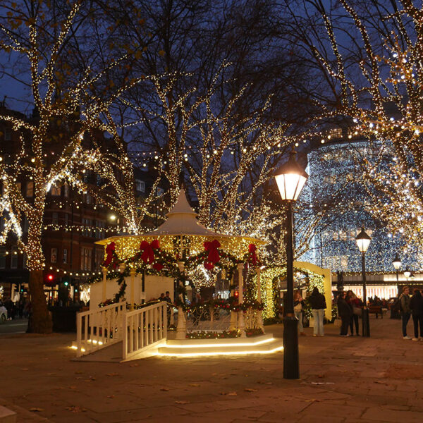 Trees lit with string light in Sloane Square