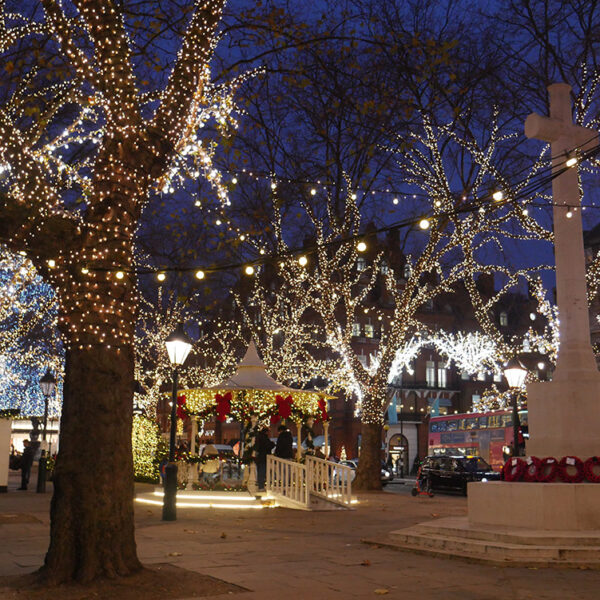 Trees lit with string light and festoon lights in Sloane Square