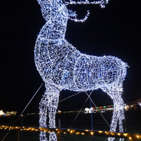 giant stag light sculpture