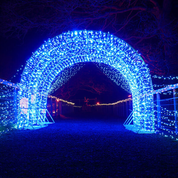 light tunnel