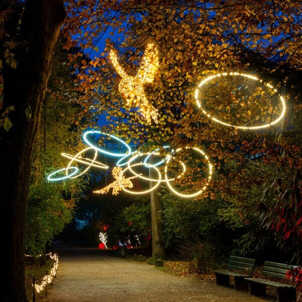 Christmas Light Trail