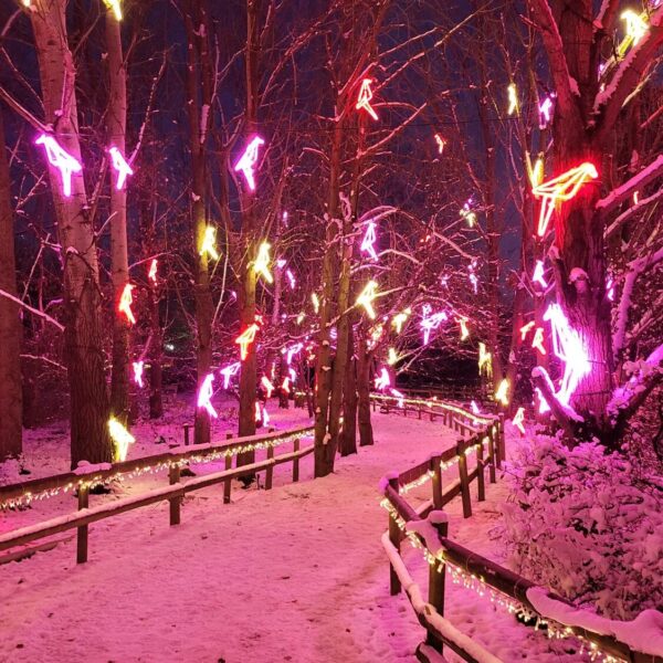 Christmas Light Trail