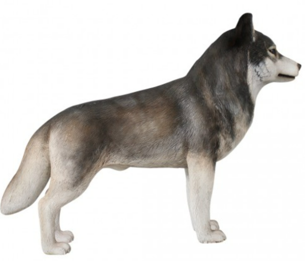 Husky, 25cm x 80cm x 105cm (WxHxD) - Image 3