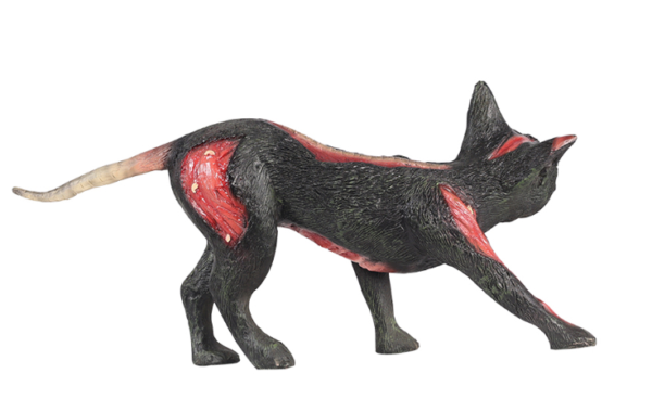 Cursed Cat, 60cm x 30cm x 15cm (WxHxD) - Image 6
