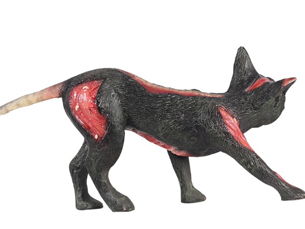 Cursed Cat, 60x15x30cm - Image 6