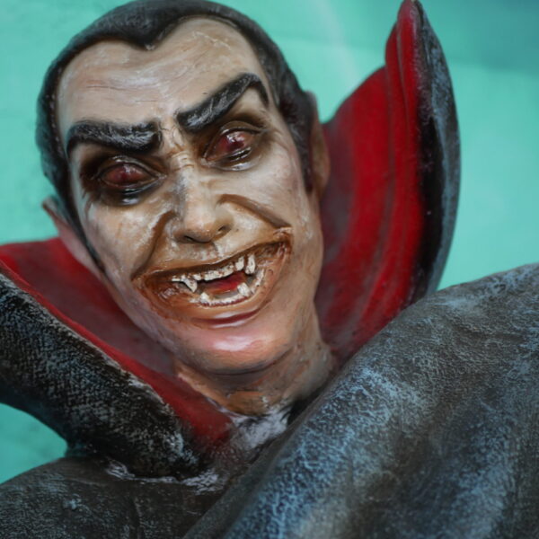 Dracula 95cm x 190cm x 85cm - Image 12