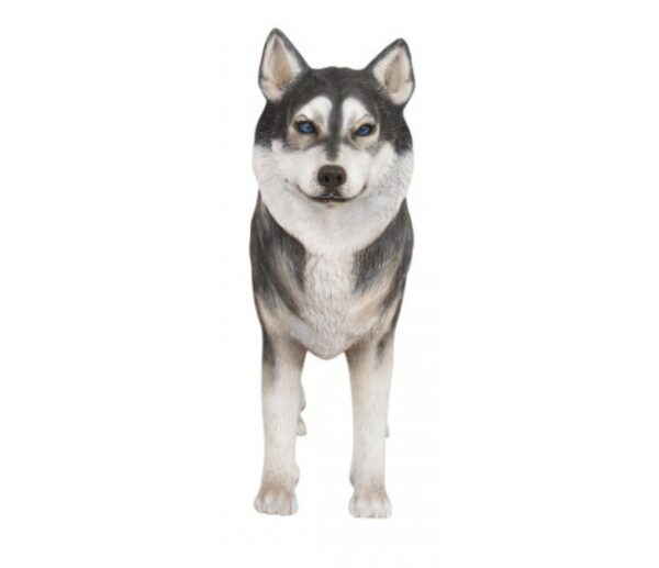 Husky, 25cm x 80cm x 105cm (WxHxD)