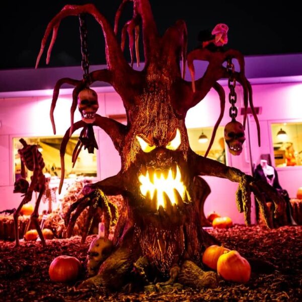 Horror Tree, 170cm x 255cm x 140cm - Image 7